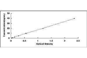 Typical standard curve (GOT1 ELISA Kit)