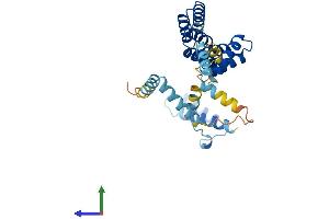 Protein Structure (PS) image for Small Glutamine-Rich Tetratricopeptide Repeat (TPR)-Containing, beta (SGTB) (AA 1-304) protein (His tag) (ABIN7546048)