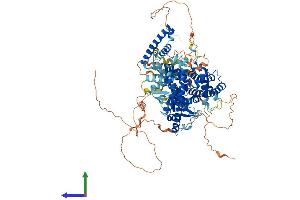 AlphaFold protein structure predicition of Human Recombinant ATG9B Protein, UniprotID Q674R7