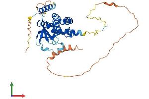 AlphaFold protein structure predicition of Mouse Recombinant Tsr3 Protein, UniprotID Q5HZH2 (TSR3 Protein (AA 1-323) (His tag))