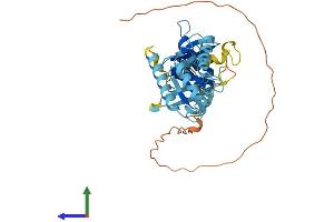 AlphaFold protein structure predicition of Human Recombinant MTG2 Protein, UniprotID Q9H4K7