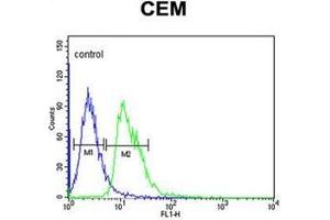 Flow cytometric analysis of CEM cells using DIAPH2 Antibody  (right histogram) compared to a negative control cell (left histogram). (DIAPH2 antibody  (Middle Region))