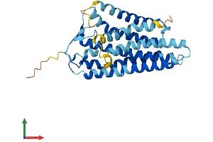 AlphaFold protein structure predicition of Human Recombinant OR51H1 Protein, UniprotID Q8NH63 (OR51H1 Protein (AA 1-302) (His tag))