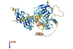 AlphaFold protein structure predicition of Mouse Recombinant Ankrd13a Protein, UniprotID Q80UP5