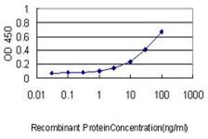 Detection limit for recombinant GST tagged PARVG is approximately 0. (PARVG antibody  (AA 1-331))