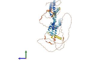 AlphaFold protein structure predicition of Human Recombinant KCNQ4 Protein, UniprotID P56696