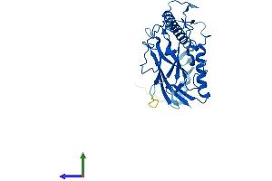 AlphaFold protein structure predicition of Human Recombinant ATP4B Protein, UniprotID P51164 (ATP4b Protein (AA 1-291) (His tag))