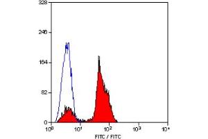 Staining of human peripheral blood lymphocytes with MOUSE ANTI HUMAN CD2:BIOTIN (ABIN119500). (CD2 antibody  (Biotin))