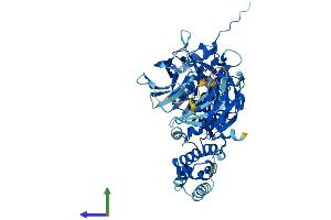AlphaFold protein structure predicition of Mouse Recombinant Ccin Protein, UniprotID Q8CDE2 (Calicin Protein (CCIN) (AA 1-588) (His tag))