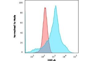 Flow Cytometric Analysis of K562 cells using LMO2 Mouse Monoclonal Antibody (LMO2/1971) followed by goat anti-Mouse IgG-CF488 (Blue); Isotype Control (Red) (LMO2 antibody  (AA 23-140))