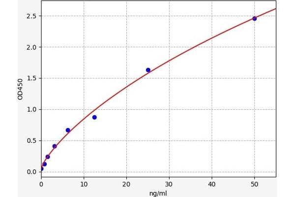 Retinoid X Receptor beta ELISA Kit