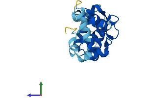 AlphaFold protein structure predicition of Mouse Recombinant Cib4 Protein, UniprotID Q9D9N5 (CIB4 Protein (AA 1-185) (His tag))