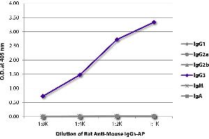 ELISA plate was coated with purified mouse IgG1, IgG2a, IgG2b, IgG3, IgM, and IgA. (Rat anti-Mouse IgG3 Antibody (Alkaline Phosphatase (AP)))