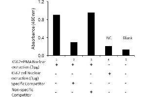 Activity Assay (AcA) image for Jun Proto-Oncogene (JUN) ELISA Kit (ABIN5690749)