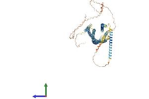 AlphaFold protein structure predicition of Human Recombinant GOLGA8IP Protein, UniprotID A6NC78 (GOLGA8IP Protein (AA 1-632) (His tag))