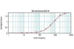 CXCL5 antibody