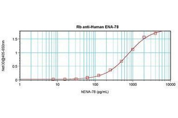 CXCL5 antibody