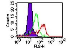 Image no. 2 for anti-Toll-Like Receptor 4 (TLR4) antibody (PE) (ABIN959964) (TLR4 antibody  (PE))