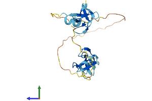 Protein Structure (PS) image for Cysteine-Rich Protein 2 (CRIP2) (AA 1-208) protein (His tag) (ABIN7561355)