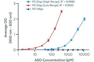 Quantification of fully PS modified ASO by ELISA using anti-PS monoclonal antibody. (ModDetect® Phosphorothioate Panel)