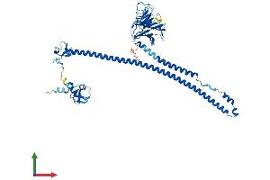 AlphaFold protein structure predicition of Human Recombinant TRIM27 Protein, UniprotID P14373 (TRIM27 Protein (AA 1-513) (His tag))
