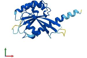AlphaFold protein structure predicition of Mouse Recombinant Ift22 Protein, UniprotID Q9DAI2 (RABL5 Protein (AA 1-185) (His tag))