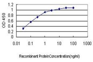 Detection limit for recombinant GST tagged HYOU1 is approximately 0. (HYOU1 antibody  (AA 901-999))