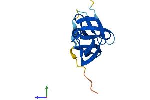 Protein Structure (PS) image for Yippee-Like 1 (YPEL1) (AA 1-119) protein (His tag) (ABIN7545235)