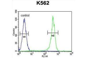 Flow Cytometry (FACS) image for anti-Corticotropin Releasing Hormone Receptor 2 (CRHR2) antibody (ABIN2996196)