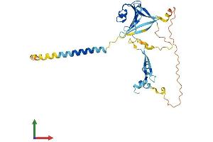 AlphaFold protein structure predicition of Mouse Recombinant Tnmd Protein, UniprotID Q9EP64 (TNMD Protein (AA 1-317) (His tag))