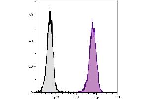 BALB/c mouse splenocytes were stained with Rat Anti-Mouse CD45-UNLB. (Goat anti-Rat IgG (Heavy & Light Chain) Antibody (FITC))