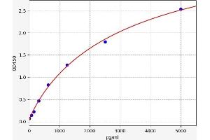 Typical standard curve (WNT4 ELISA Kit)