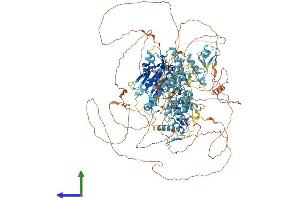 AlphaFold protein structure predicition of Mouse Recombinant Pogz Protein, UniprotID Q8BZH4 (POGZ Protein (AA 1-1409) (His tag))