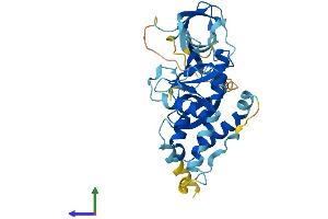 AlphaFold protein structure predicition of Human Recombinant NCF4 Protein, UniprotID Q15080