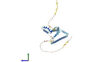 AlphaFold protein structure predicition of Human Recombinant SMARCE1 Protein, UniprotID Q969G3 (SMARCE1 Protein (AA 1-411) (His tag))