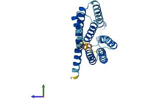 AlphaFold protein structure predicition of Human Recombinant SLC50A1 Protein, UniprotID Q9BRV3