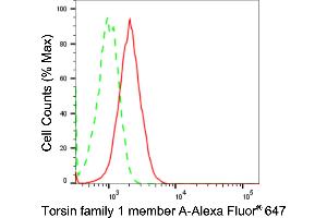 Flow cytometric analysis of Torsin family 1 member A expression in HT- cells using Torsin family 1 member A antibody (ABIN7800575), 1:2,000).