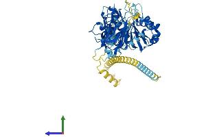AlphaFold protein structure predicition of Mouse Recombinant Mgat4a Protein, UniprotID Q812G0