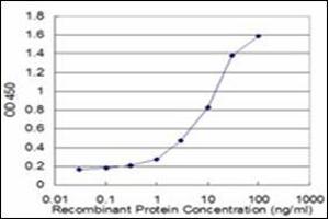 ELISA image for anti-Milk Fat Globule-EGF Factor 8 Protein (MFGE8) antibody (ABIN953127) (MFGE8 antibody)