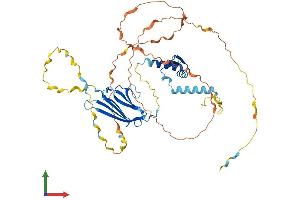 Protein Structure (PS) image for Splicing Factor 3a, Subunit 2, 66kDa (SF3A2) (AA 1-464) protein (His tag) (ABIN7546116)