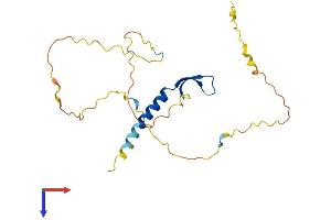 AlphaFold protein structure predicition of Mouse Recombinant Bcl7b Protein, UniprotID Q921K9 (BCL7B Protein (AA 1-202) (His tag))