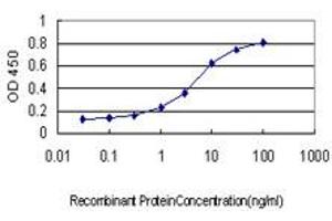 Detection limit for recombinant GST tagged RAB3B is approximately 0.
