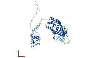 Protein Structure (PS) image for Nuclear Receptor Subfamily 1, Group I, Member 2 (NR1I2) (AA 1-434) protein (His tag) (ABIN7554800)