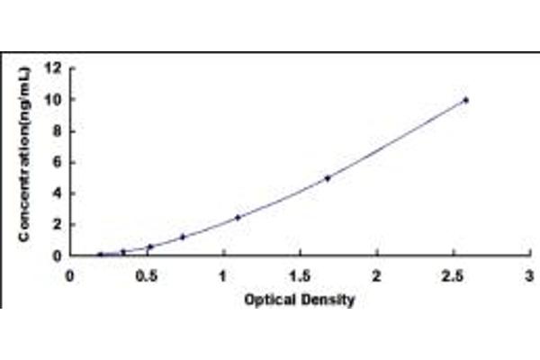 ATP2B2 ELISA Kit