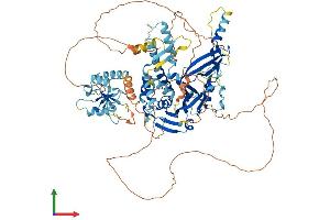 AlphaFold protein structure predicition of Human Recombinant USP45 Protein, UniprotID Q70EL2 (USP45 Protein (AA 1-814) (His tag))