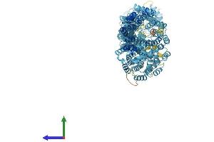 AlphaFold protein structure predicition of Human Recombinant TTC21B Protein, UniprotID Q7Z4L5