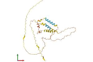 AlphaFold protein structure predicition of Human Recombinant C12orf71 Protein, UniprotID A8MTZ7 (C12ORF71 Protein (AA 1-269) (His tag))