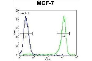Flow Cytometry (FACS) image for anti-Vascular Endothelial Growth Factor C (VEGFC) antibody (ABIN2996454) (VEGFC antibody)