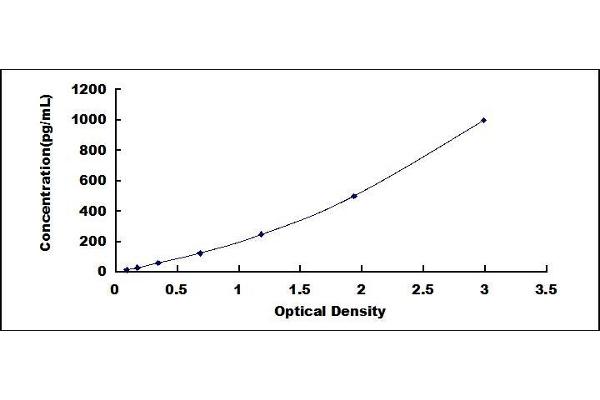 FGF1 ELISA Kit