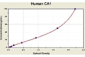 Diagramm of the ELISA kit to detect Human CA1with the optical density on the x-axis and the concentration on the y-axis. (CA1 ELISA Kit)